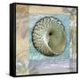 Peace Shell-Todd Williams-Framed Stretched Canvas