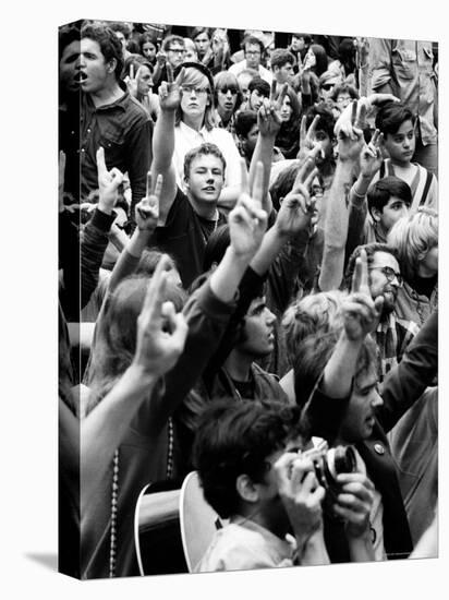 Peace Sign Flashing, Anti Election Protestors in Grant Park Against Democratic National Convention-Charles H^ Phillips-Stretched Canvas