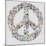 Peace Sign in Bloom-Sydney Edmunds-Mounted Giclee Print