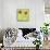 Peace Sign Ladybugs III-Alan Hopfensperger-Mounted Art Print displayed on a wall