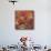 Peace Sign Ladybugs VI-Alan Hopfensperger-Mounted Art Print displayed on a wall