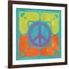 Peace Sign Quilt I-Alan Hopfensperger-Framed Art Print