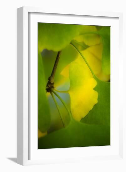 Peace Sign-Philippe Sainte-Laudy-Framed Photographic Print