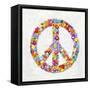 Peace Sign-Jamie MacDowell-Framed Stretched Canvas