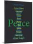 Peace-Whoartnow-Mounted Giclee Print