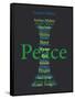 Peace-Whoartnow-Framed Stretched Canvas