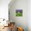 Peaceable Kingdom 13-David Sheskin-Giclee Print displayed on a wall