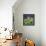 Peaceable Kingdom 15-David Sheskin-Framed Stretched Canvas displayed on a wall