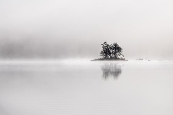 Photo, , large