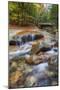 Peaceful Autumn Stream, White Mountain New Hampshire-Vincent James-Mounted Photographic Print