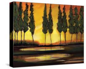 Peaceful California Trees-Judith D'Agostino-Stretched Canvas