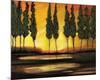 Peaceful California Trees-Judith D'Agostino-Mounted Art Print