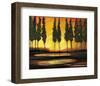 Peaceful California Trees-Judith D'Agostino-Framed Art Print