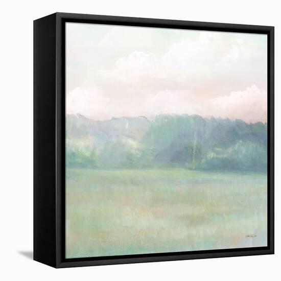 Peaceful Calm 2-Stellar Design Studio-Framed Stretched Canvas