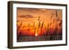 Peaceful Chesapeake Bay Sunrise in Calvert County, Maryland.-Yvonne Navalaney-Framed Photographic Print