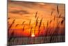 Peaceful Chesapeake Bay Sunrise in Calvert County, Maryland.-Yvonne Navalaney-Mounted Photographic Print