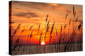 Peaceful Chesapeake Bay Sunrise in Calvert County, Maryland.-Yvonne Navalaney-Stretched Canvas