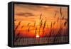 Peaceful Chesapeake Bay Sunrise in Calvert County, Maryland.-Yvonne Navalaney-Framed Stretched Canvas