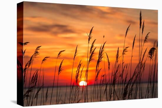 Peaceful Chesapeake Bay Sunrise in Calvert County, Maryland.-Yvonne Navalaney-Stretched Canvas