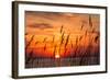 Peaceful Chesapeake Bay Sunrise in Calvert County, Maryland.-Yvonne Navalaney-Framed Photographic Print