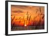 Peaceful Chesapeake Bay Sunrise in Calvert County, Maryland.-Yvonne Navalaney-Framed Photographic Print