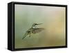 Peaceful Day with a Hummingbird-Jai Johnson-Framed Stretched Canvas