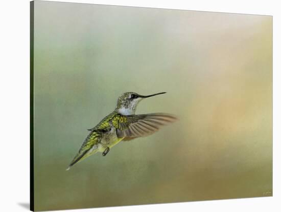 Peaceful Day with a Hummingbird-Jai Johnson-Stretched Canvas
