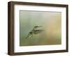 Peaceful Day with a Hummingbird-Jai Johnson-Framed Giclee Print