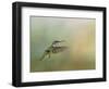 Peaceful Day with a Hummingbird-Jai Johnson-Framed Giclee Print