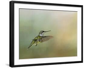 Peaceful Day with a Hummingbird-Jai Johnson-Framed Giclee Print