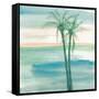 Peaceful Dusk II Tropical-Chris Paschke-Framed Stretched Canvas