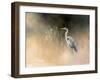 Peaceful Egret-Julia Purinton-Framed Art Print