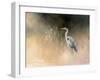 Peaceful Egret-Julia Purinton-Framed Art Print