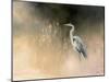 Peaceful Egret-Julia Purinton-Mounted Art Print