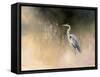 Peaceful Egret-Julia Purinton-Framed Stretched Canvas