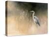 Peaceful Egret-Julia Purinton-Stretched Canvas