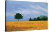 Peaceful Field-Herb Dickinson-Stretched Canvas