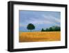 Peaceful Field-Herb Dickinson-Framed Photographic Print