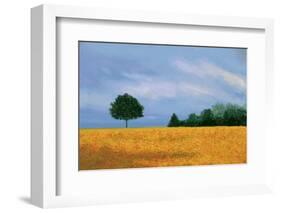 Peaceful Field-Herb Dickinson-Framed Photographic Print