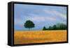 Peaceful Field-Herb Dickinson-Framed Stretched Canvas