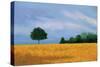 Peaceful Field-Herb Dickinson-Stretched Canvas