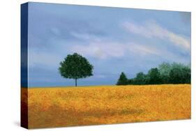 Peaceful Field-Herb Dickinson-Stretched Canvas