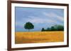 Peaceful Field-Herb Dickinson-Framed Photographic Print