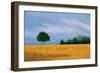 Peaceful Field-Herb Dickinson-Framed Photographic Print