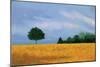 Peaceful Field-Herb Dickinson-Mounted Photographic Print