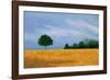 Peaceful Field-Herb Dickinson-Framed Photographic Print