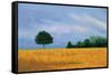 Peaceful Field-Herb Dickinson-Framed Stretched Canvas