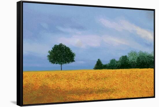 Peaceful Field-Herb Dickinson-Framed Stretched Canvas