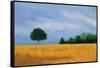 Peaceful Field-Herb Dickinson-Framed Stretched Canvas