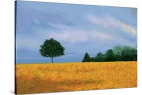 Peaceful Field-Herb Dickinson-Stretched Canvas